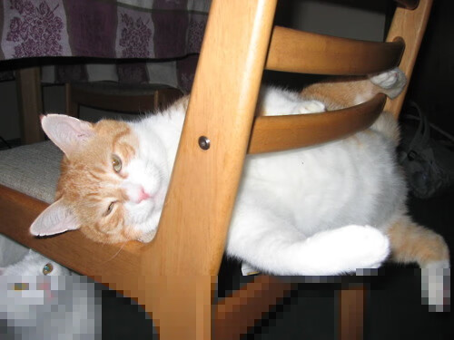 中国篮球职业联赛市场营销策略与品牌推广，篮球比赛营销方案