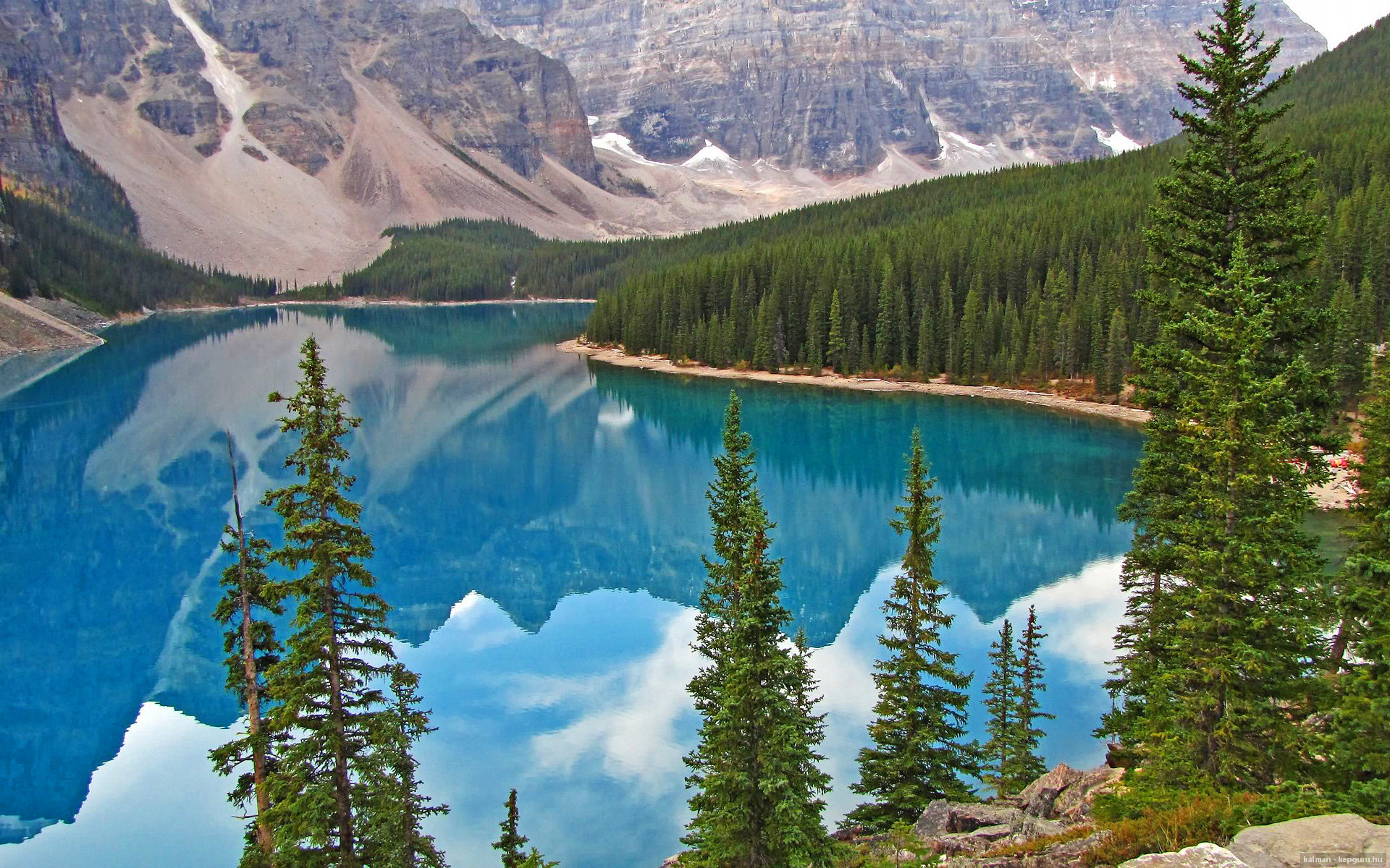 中国篮球职业联赛球队战术创新案例分析及总结，篮球联赛战术中文版