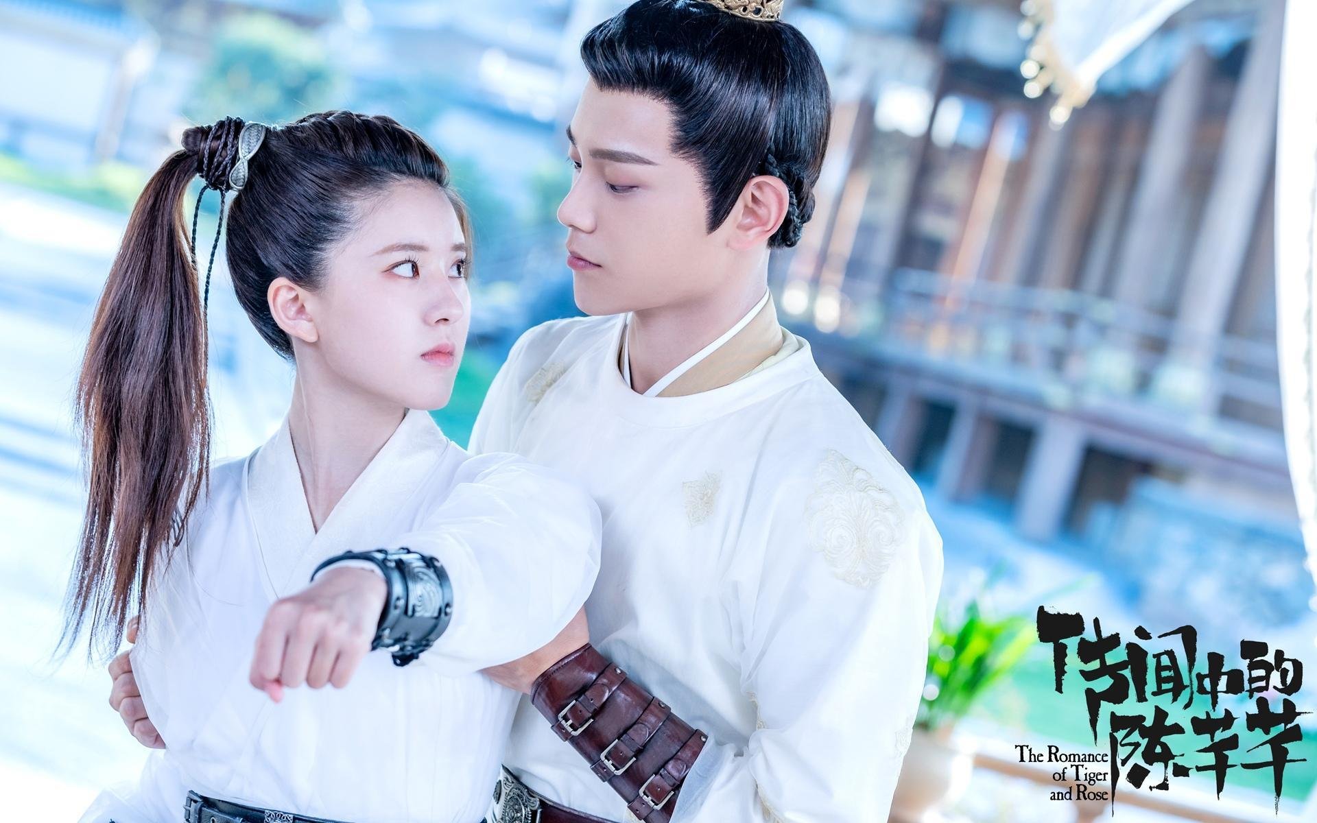 中国篮球职业联赛经济效益及可持续发展研究，国内篮球职业联赛