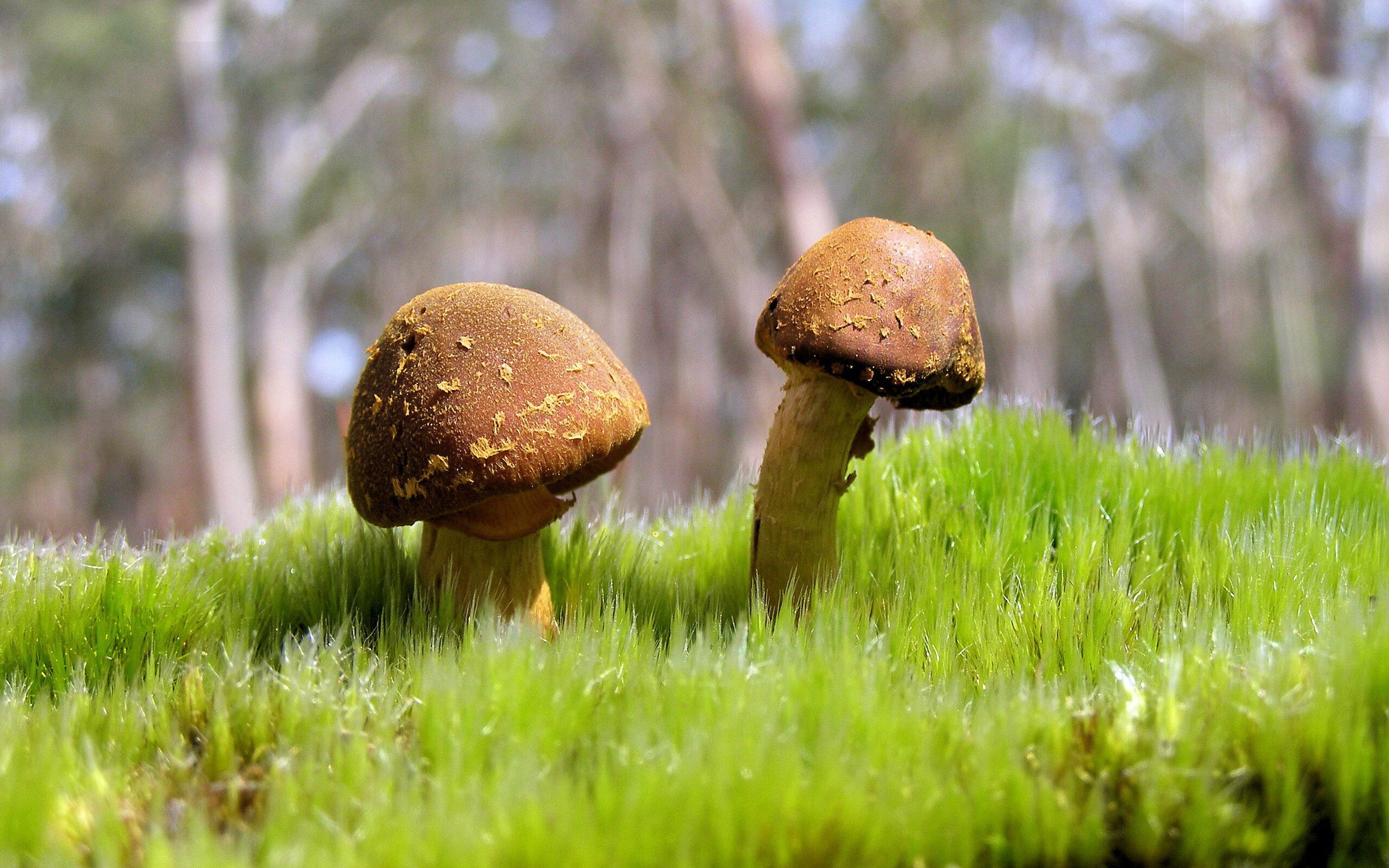 体育教学中虚拟现实技术的应用研究,虚拟现实技术在教育教学中的应用