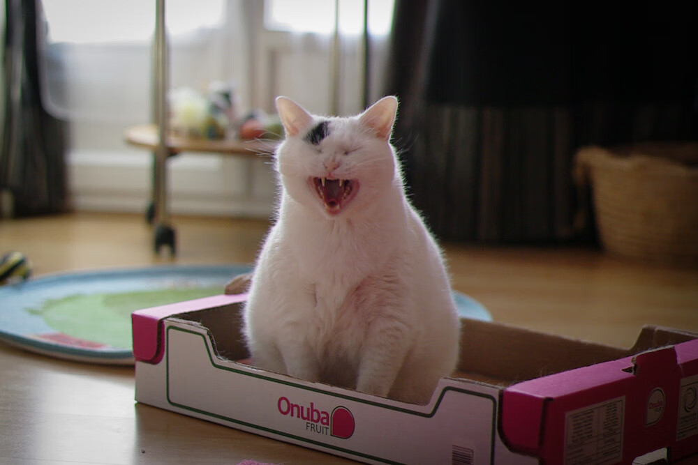 不怪老师不怪学校,人民日报告诉你孩子差距真正原因,有些家长自己孩子不好怪老师