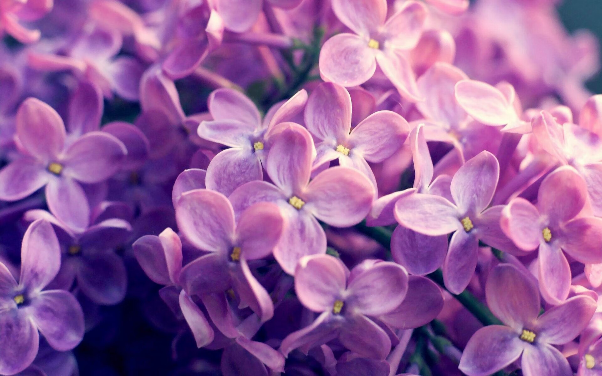 中国篮球与高校科研项目的结合成果，中国篮球与高校科研项目的结合成果包括