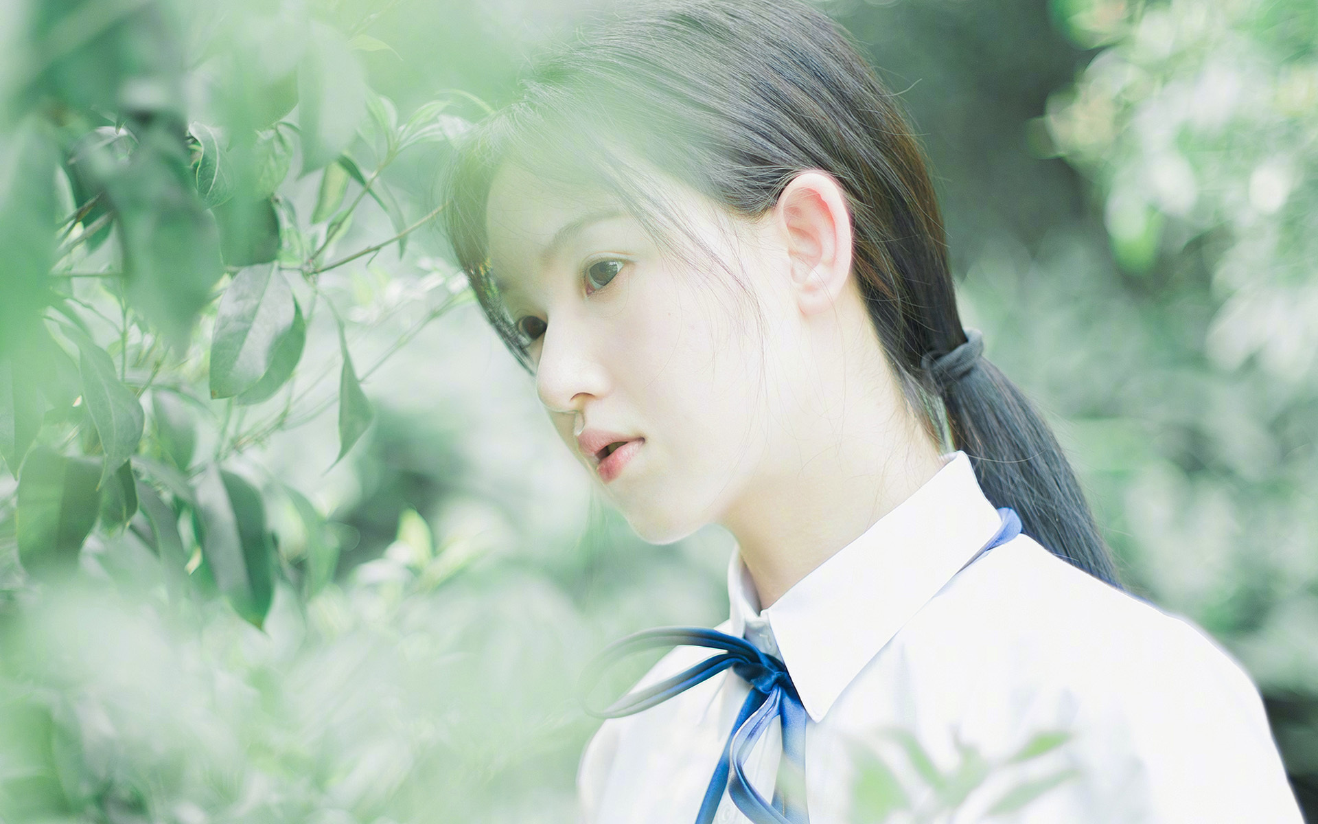 中国篮球与高校科研项目的结合成果，中国篮球与高校科研项目的结合成果包括