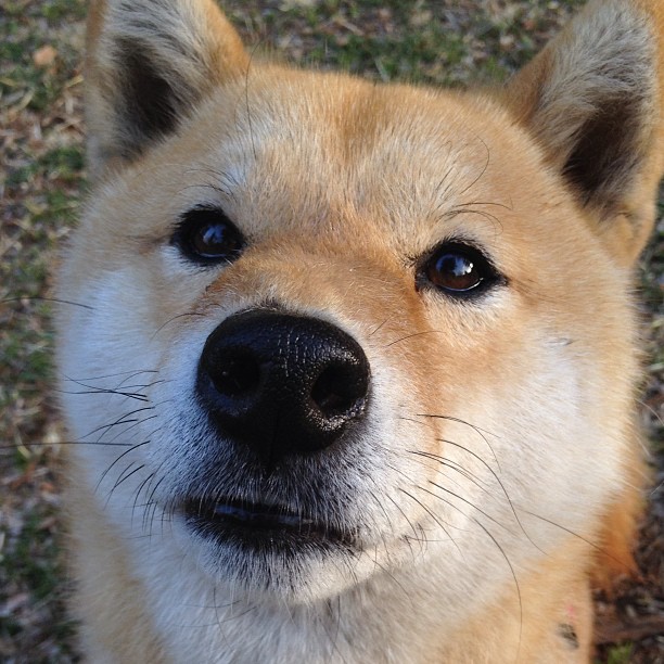 中国篮球如何加强裁判员执法水平培训，篮球裁判培训课程