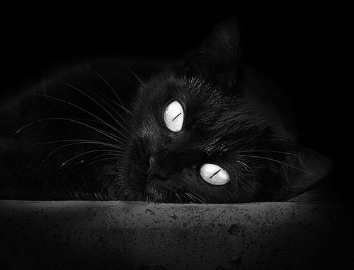 中国药企影响不大，国产替代价值再被看见，国内药业