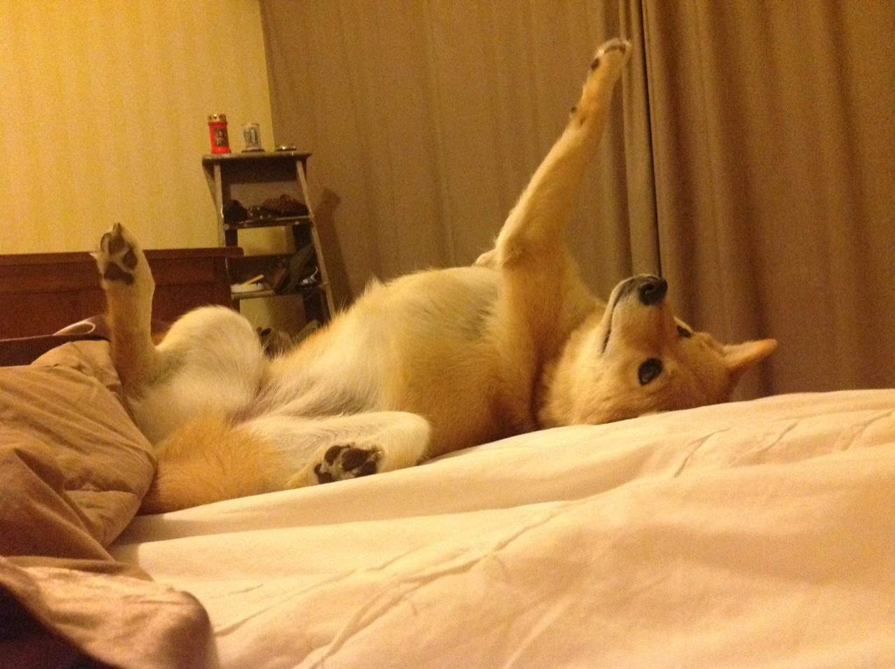 中国足球国家队完善后勤保障和数据追踪体系，中国国家足球队后卫