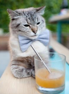 中国足球校园足球联赛对未来职业球员贡献度分析，中国校园足球的发展方向