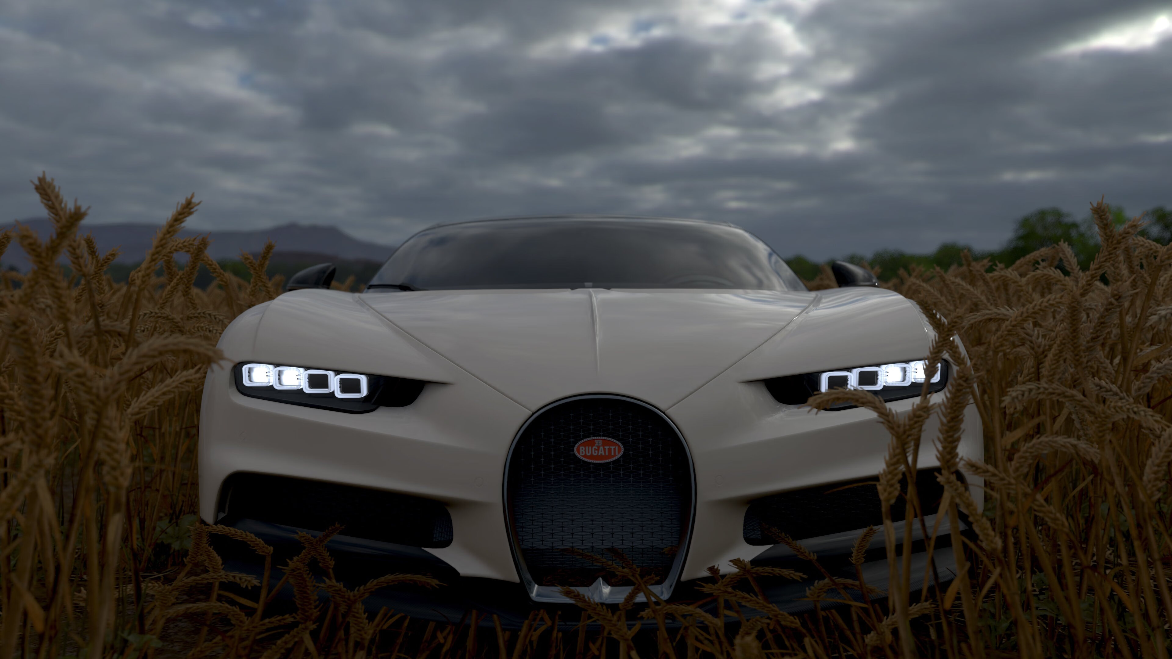 体育类会员订阅服务模式受到年轻用户青睐，体育会员有什么用