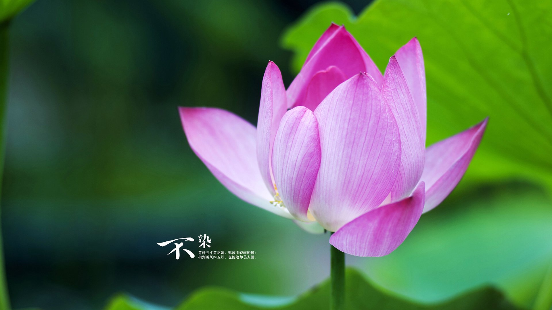 倪闽景：教育的核心是激发孩子内心的热爱